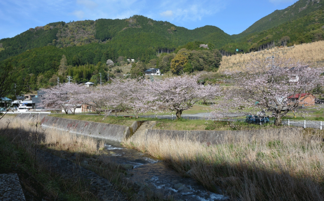 dsc_3987.jpg