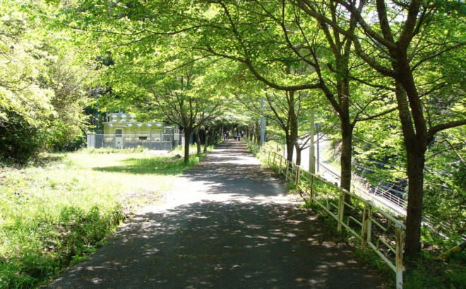 p1030028.jpg