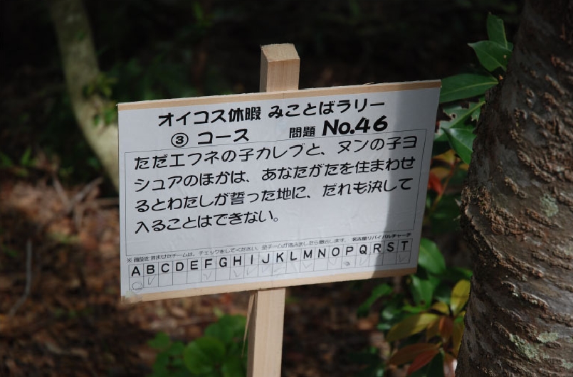 dsc_9950-1.jpg